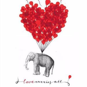 Meet your Posher, Felicia